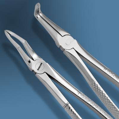 English Pattern Forceps Fragments
