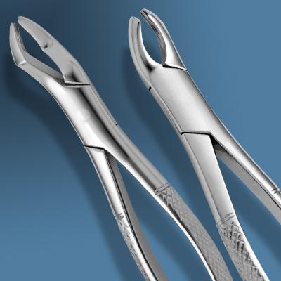 American Pattern Forceps Upper