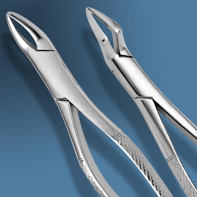 American Pattern Forceps Fragments