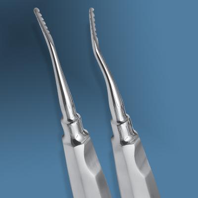 Lindo Levien Elevator