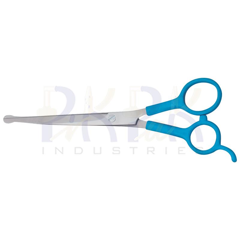 Plastic Handle Scissors